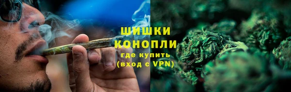 дмт Арсеньев