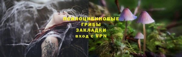 дмт Арсеньев