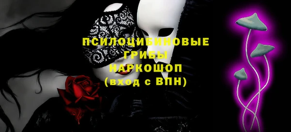 дмт Арсеньев