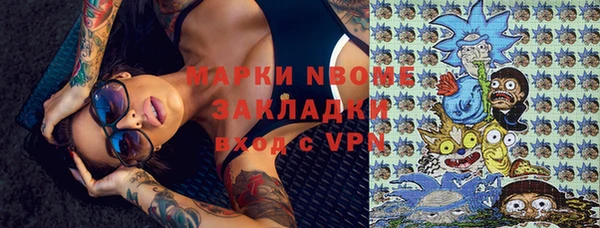 хмурый Аркадак
