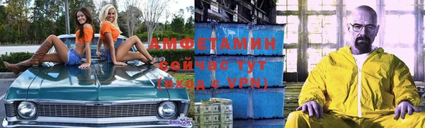 хмурый Аркадак