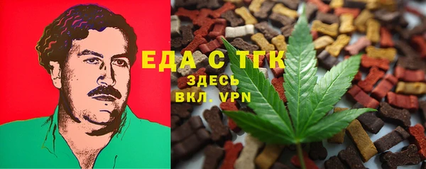 хмурый Аркадак