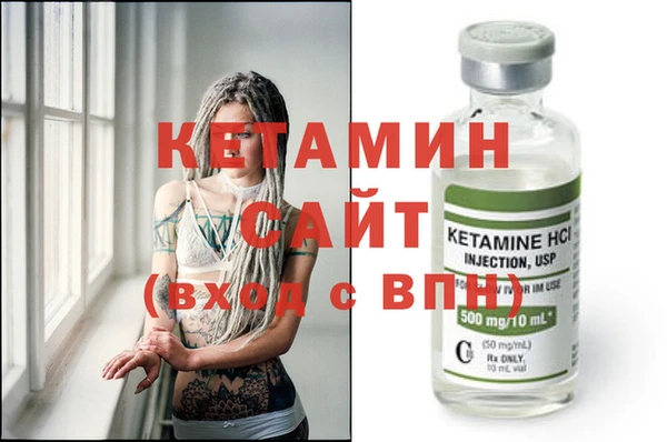 хмурый Аркадак