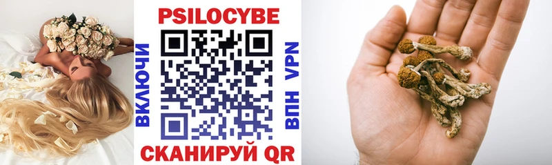Псилоцибиновые грибы прущие грибы  Усть-Джегута 